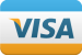 payment-creditcard-visa-icon